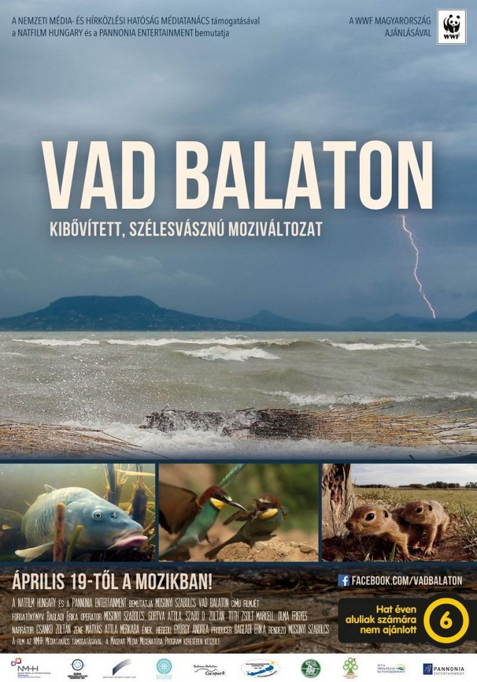 Vad Balaton - újra a Barátság mozi műsorán a magyar természetfilm